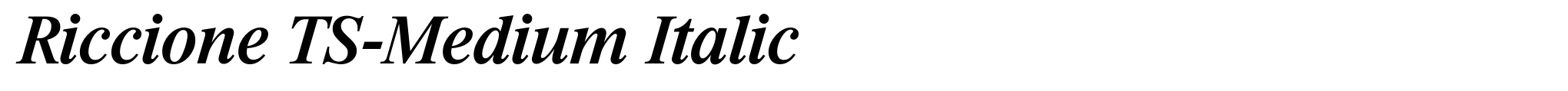 Riccione TS-Medium Italic image